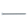 50LB packing Galvanized roofing nail/common nail